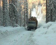 Производство оцилиндрованного бревна в Красноярске Производство оцилиндрованного бревна в Красноярске