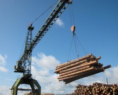 Производство оцилиндрованного бревна в Омске Производство оцилиндрованного бревна в Омске